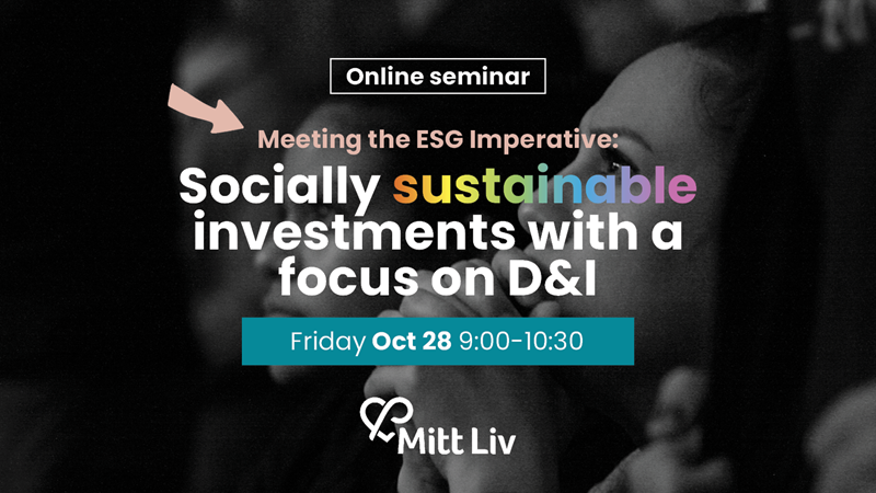 Socially sustainable investments with a focus on D&I